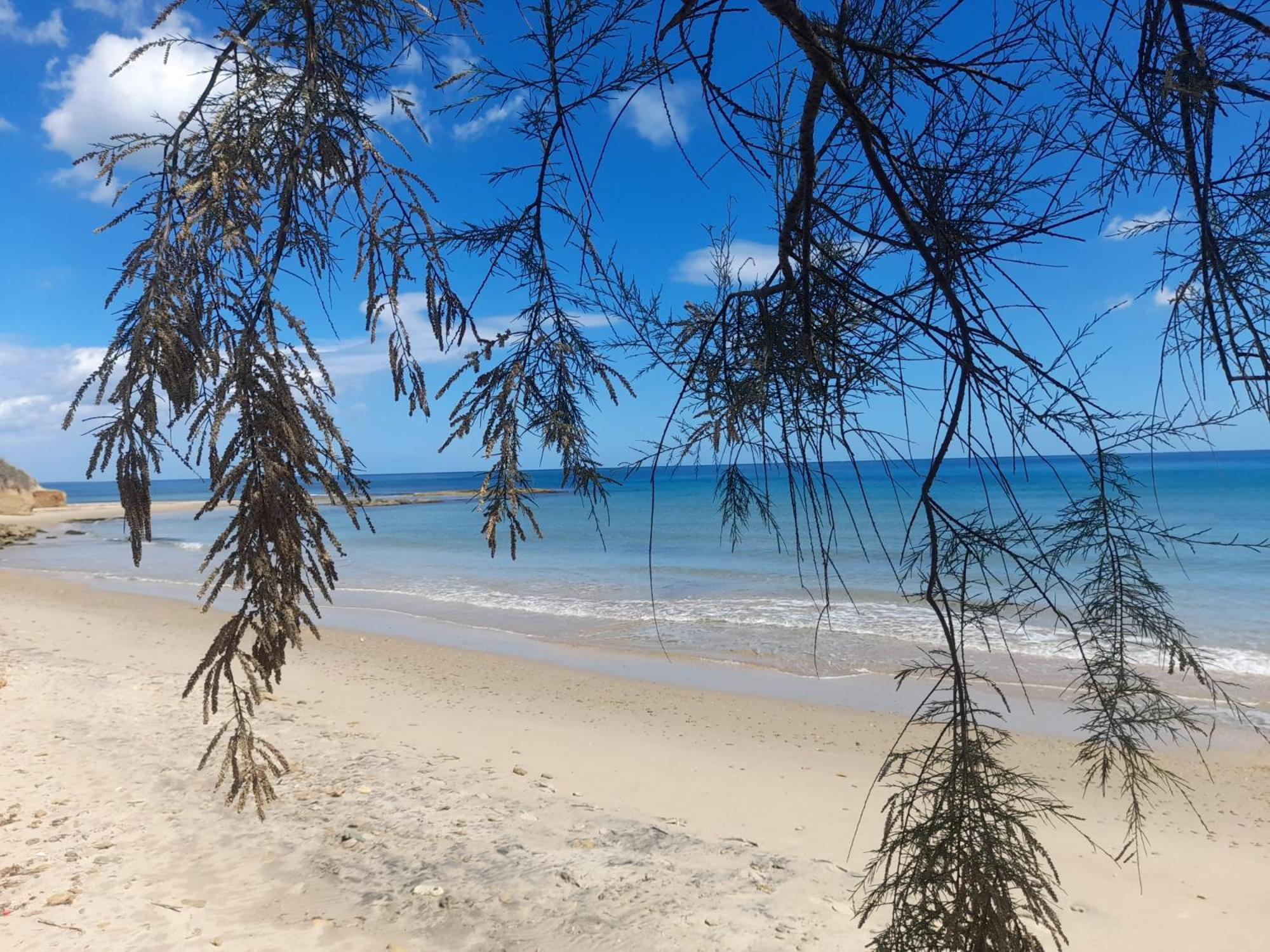 Tra Vento E Mare Διαμέρισμα Lendinuso Εξωτερικό φωτογραφία